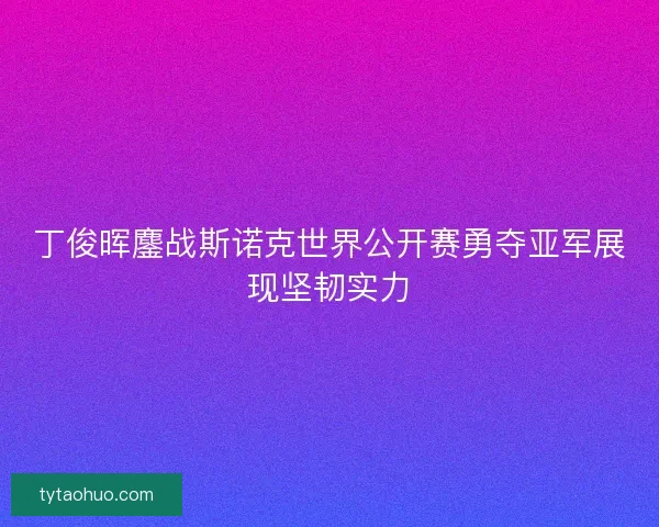 丁俊晖鏖战斯诺克世界公开赛勇夺亚军展现坚韧实力