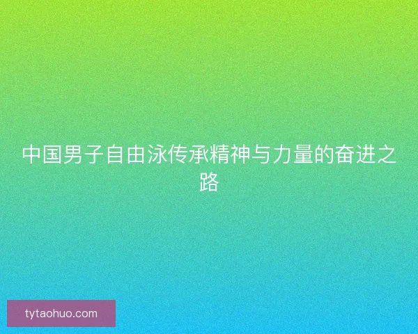 中国男子自由泳传承精神与力量的奋进之路