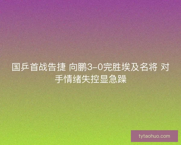 国乒首战告捷 向鹏3-0完胜埃及名将 对手情绪失控显急躁