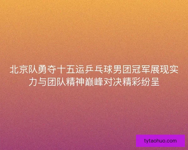 北京队勇夺十五运乒乓球男团冠军展现实力与团队精神巅峰对决精彩纷呈