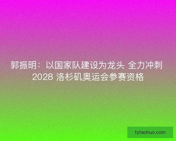 郭振明：以国家队建设为龙头 全力冲刺 2028 洛杉矶奥运会参赛资格