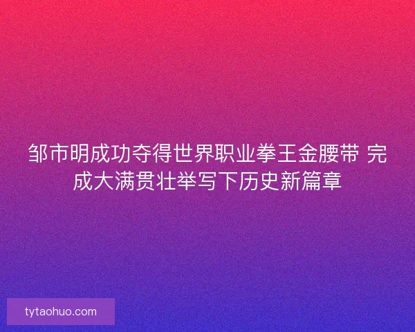 邹市明成功夺得世界职业拳王金腰带 完成大满贯壮举写下历史新篇章