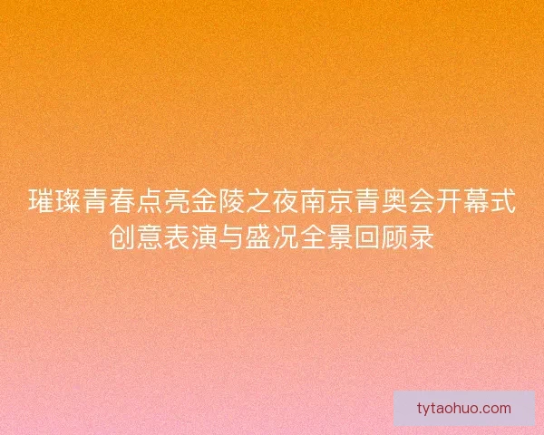 璀璨青春点亮金陵之夜南京青奥会开幕式创意表演与盛况全景回顾录